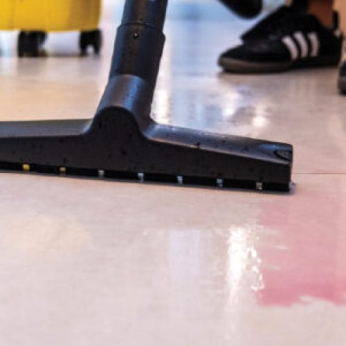 WDL_1_Closeup-3-300x300